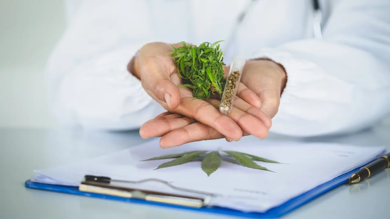 Finding The Right Medical Marijuana Doctor In Fairfax