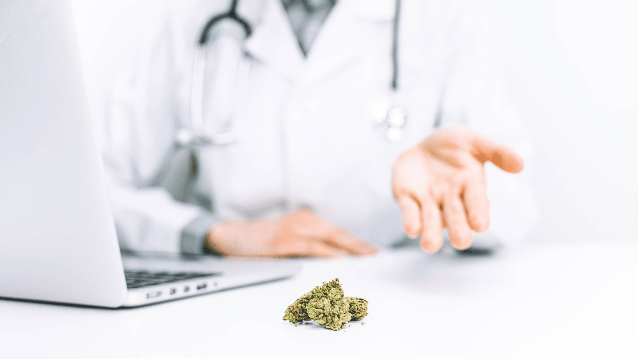 The Growing Role of Medical Cannabis Doctors In Chesapeake
