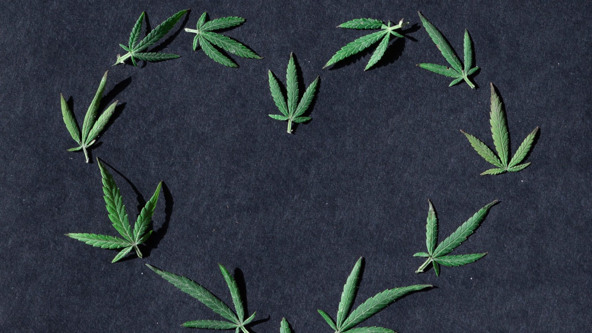Medical Marijuana Card