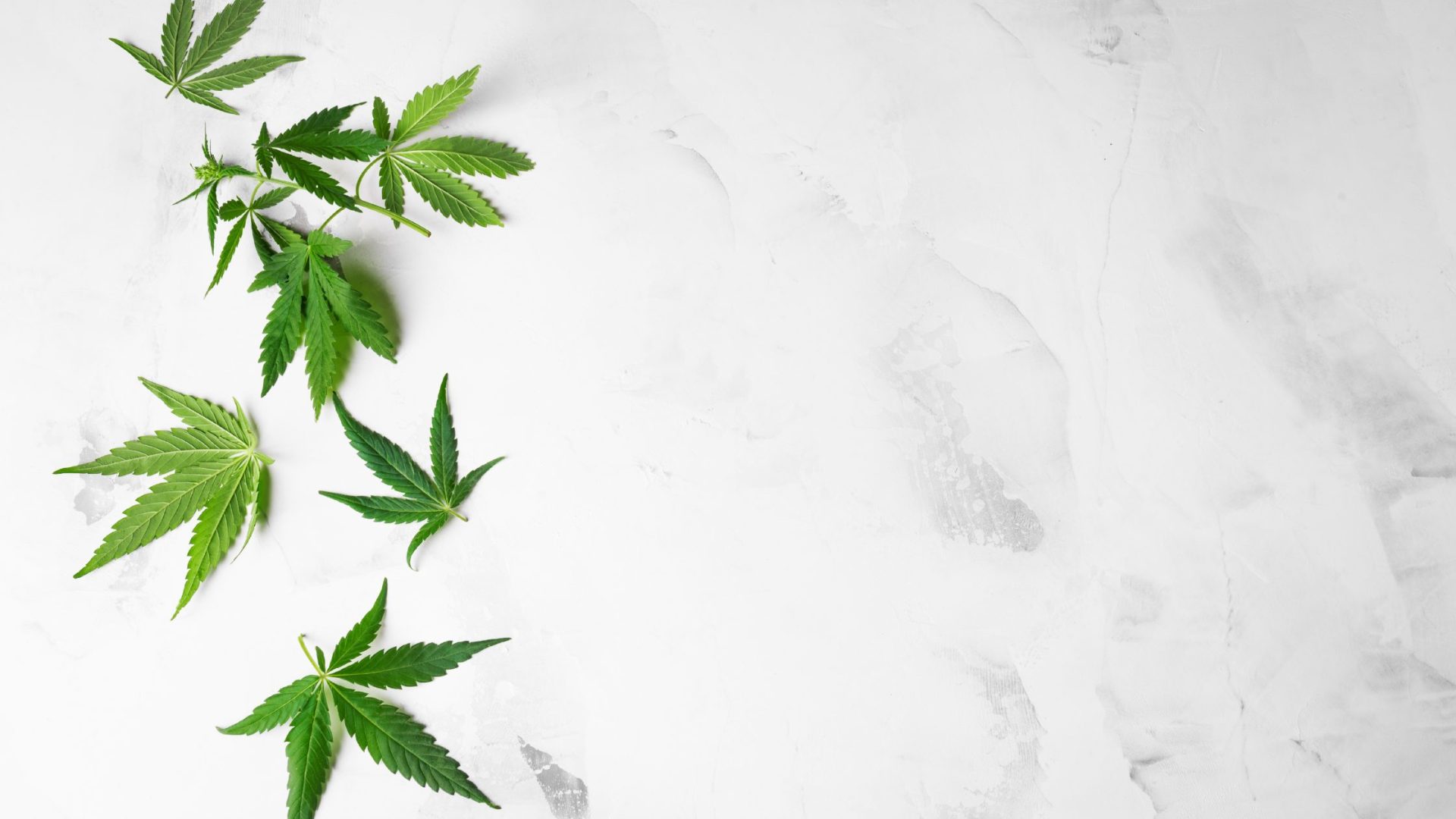 How To Get Your VA Medical Cannabis Card Online – No Office Visit Required