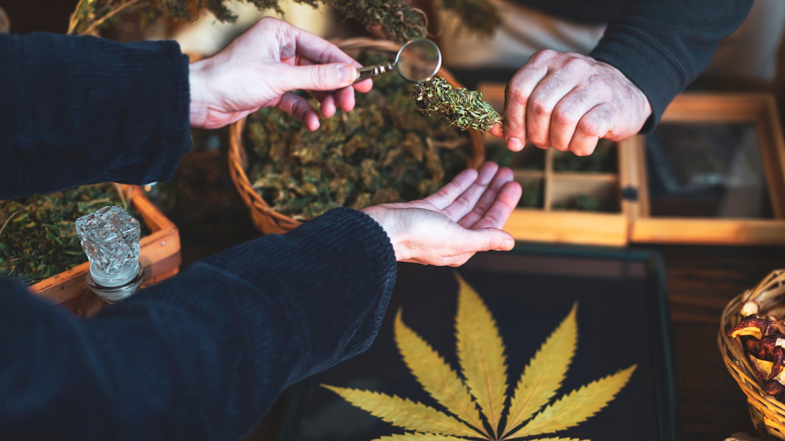 Cannabis Dispensary in Alexandria, VA