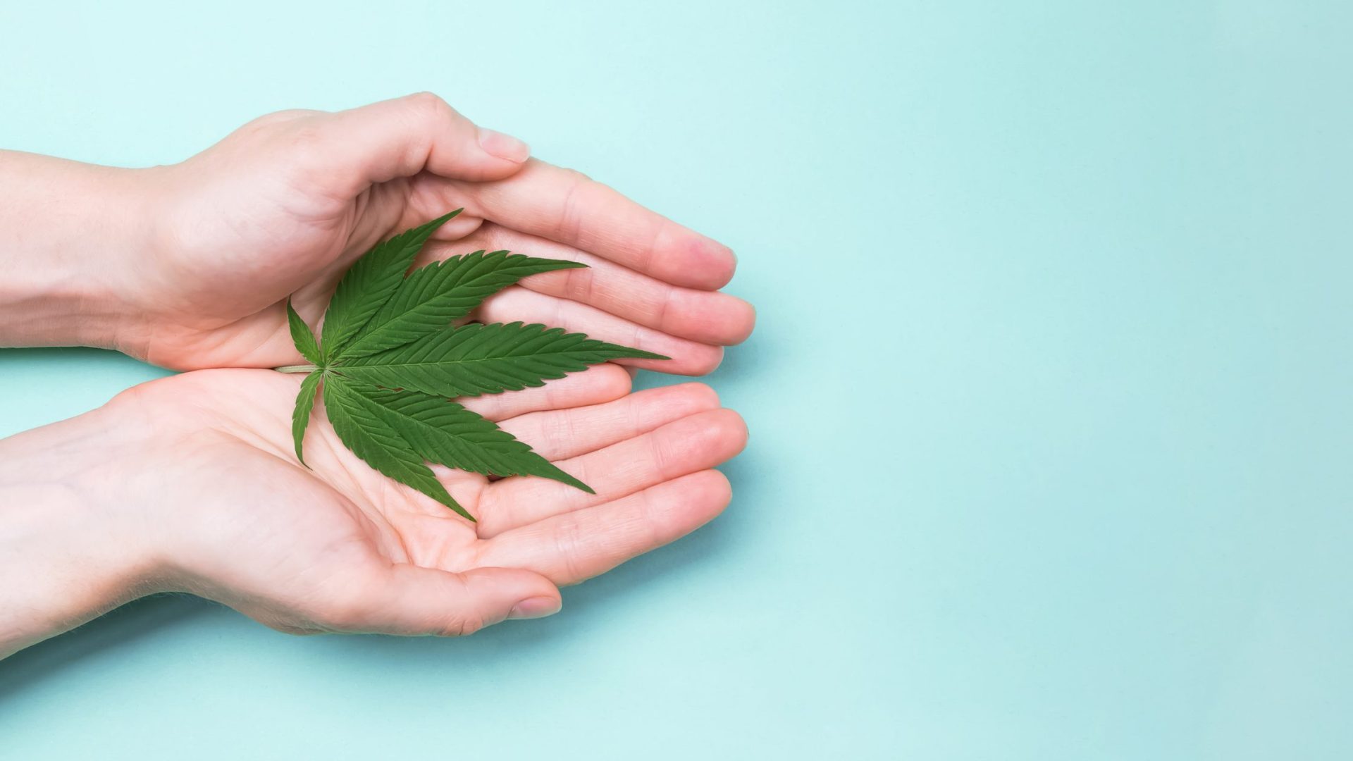 Can I Get Medical Marijuana for Back Pain and What Types of Relief Do Patients Experience
