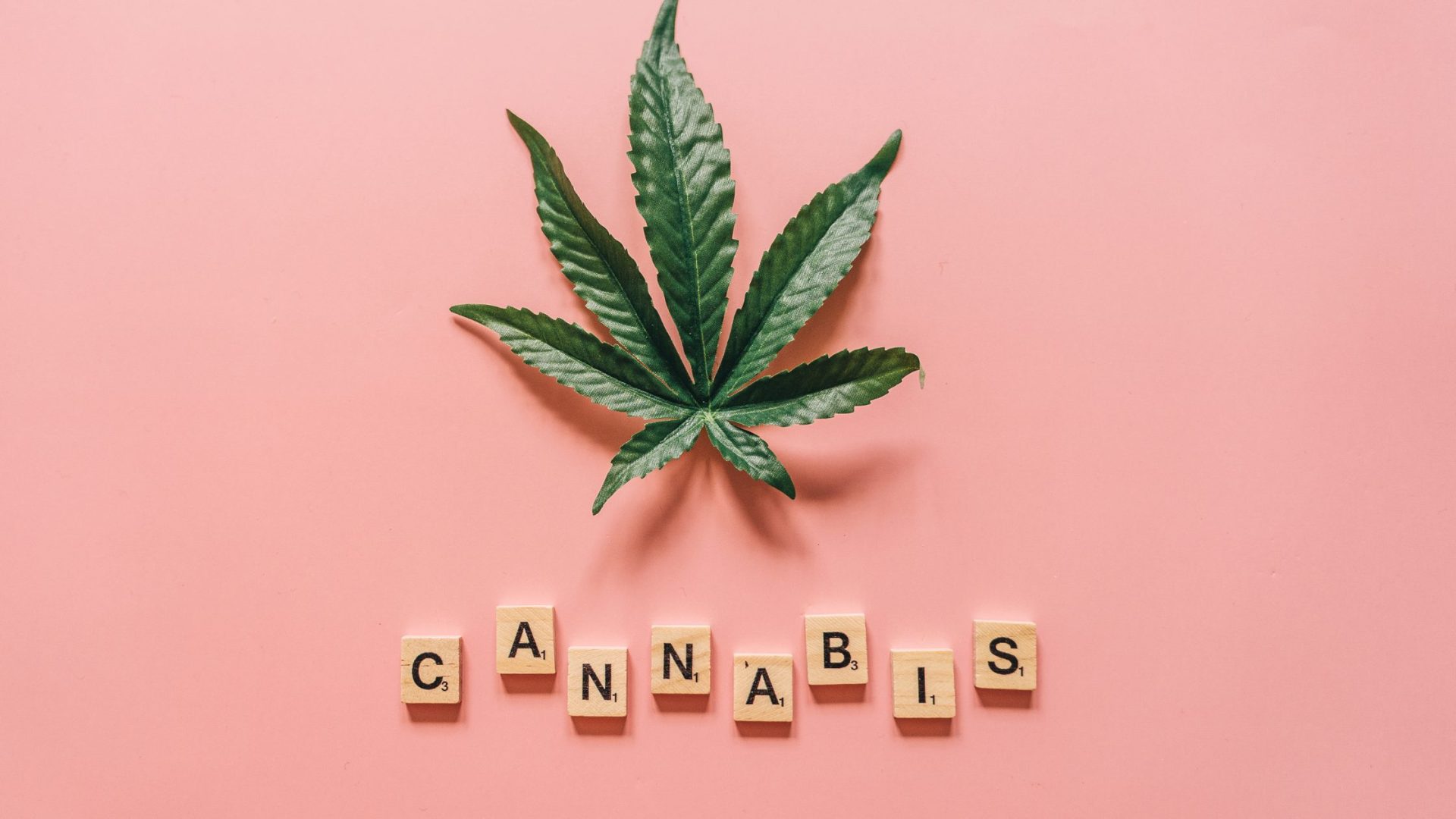 How Cannabis for Nerve Pain Supports Long-Term Relief and Improved Daily Function