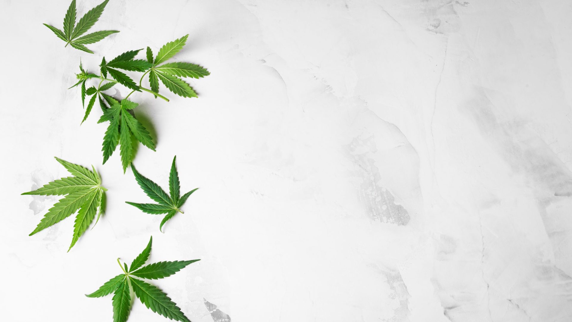 How to Get a Medical Cannabis Card in Virginia: Requirements, Costs, and Timeline Explained