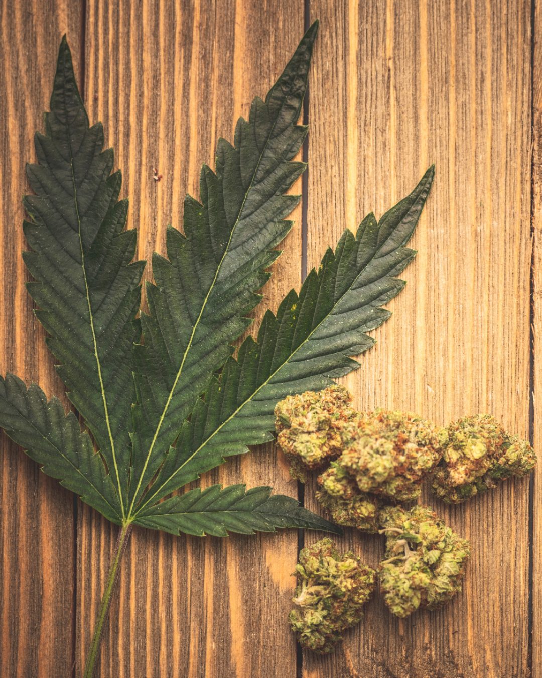 Medical Marijuana Card VA Requirements