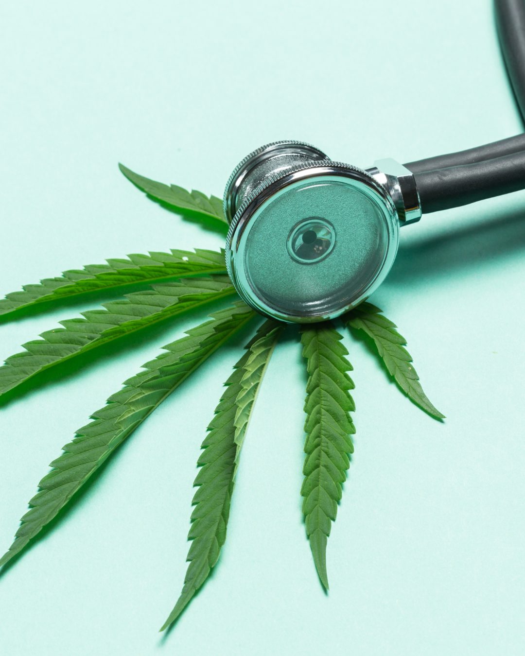 Medical Marijuana New Patient Cards