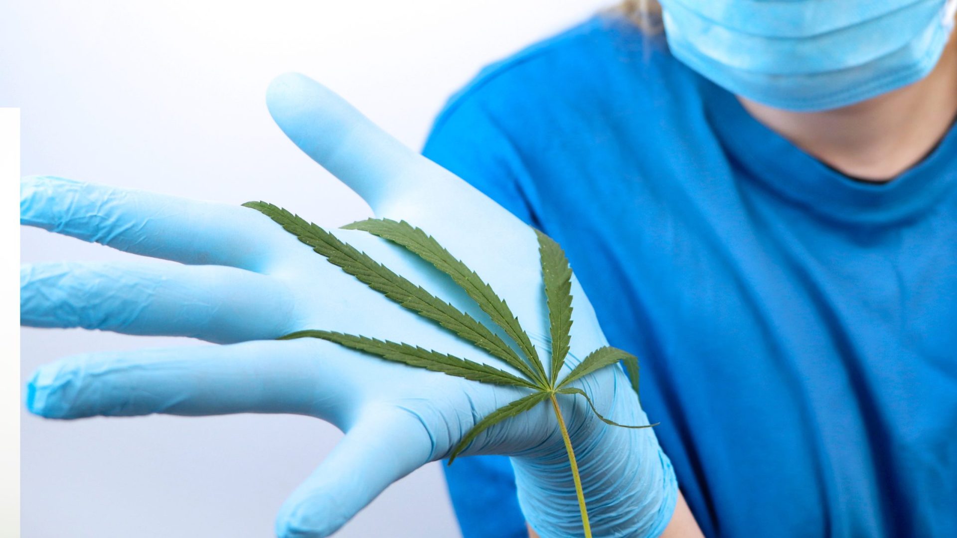 What should you expect when visiting a cannabis dispensary in Bristol, VA?