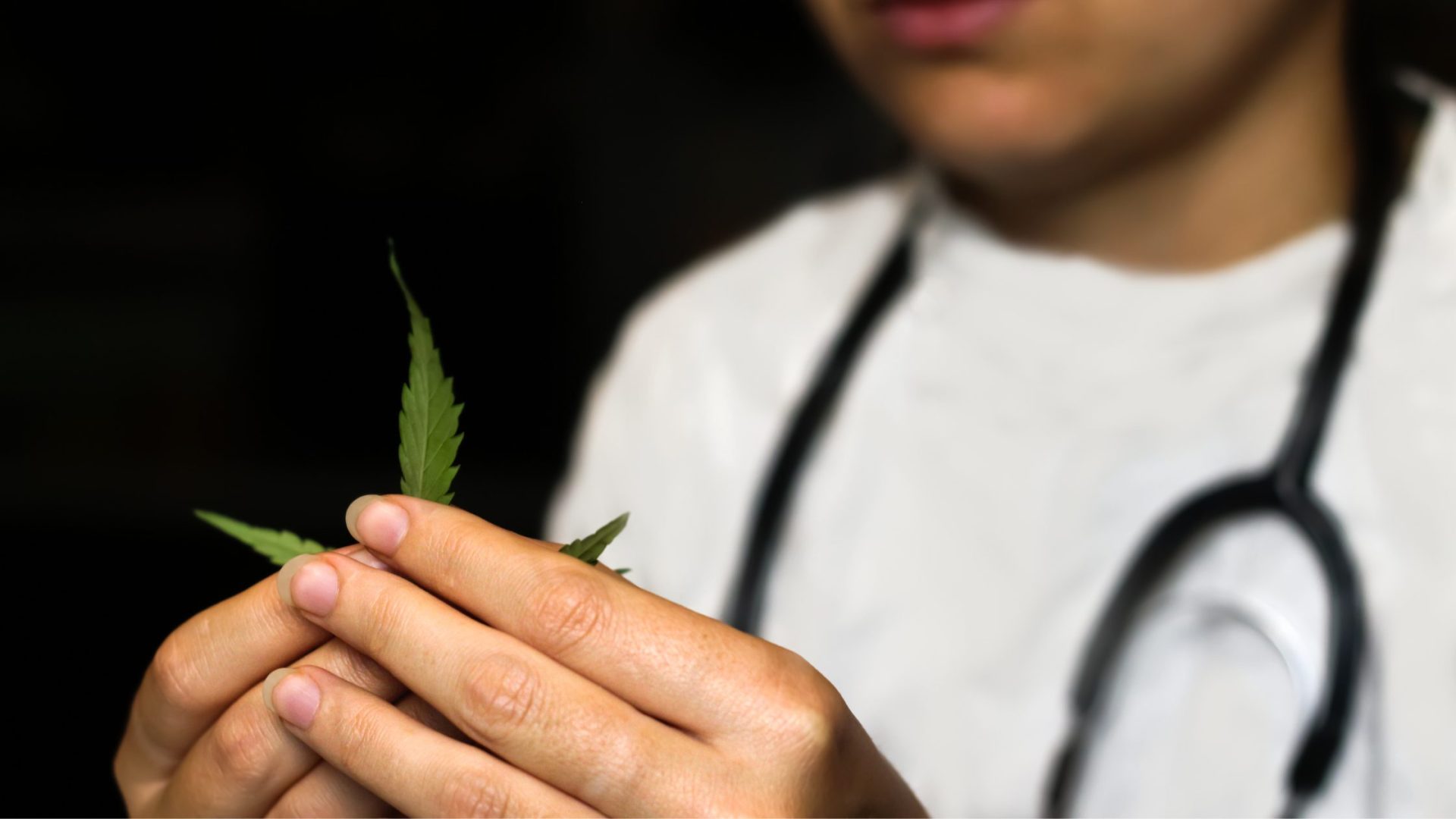 How can you find the best dispensary near Norfolk, VA, for your needs?