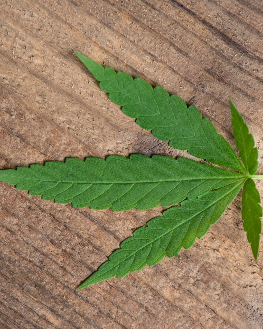 Dispensary Manassas VA Medical Marijuana