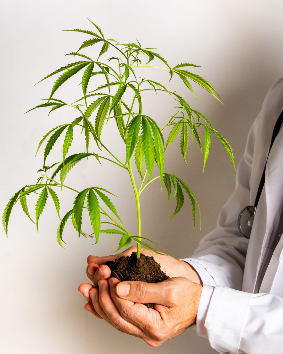 Woodbridge VA marijuana dispensary