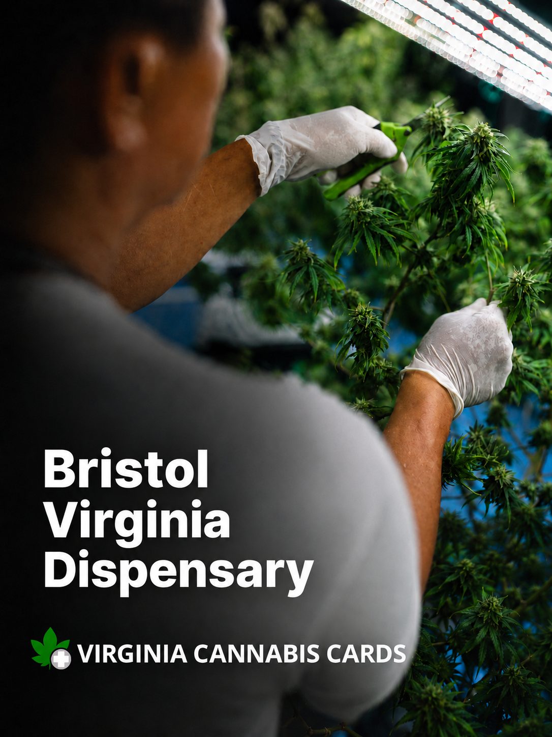 Bristol Virginia Dispensary