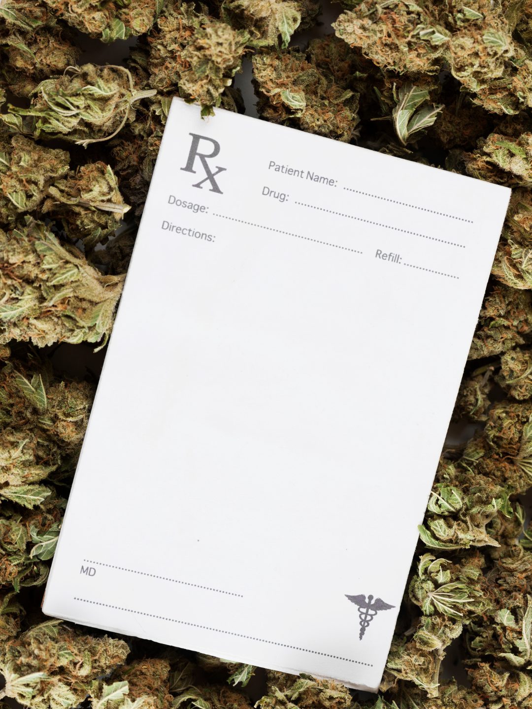 Recreational Dispensary, Richmond, VA