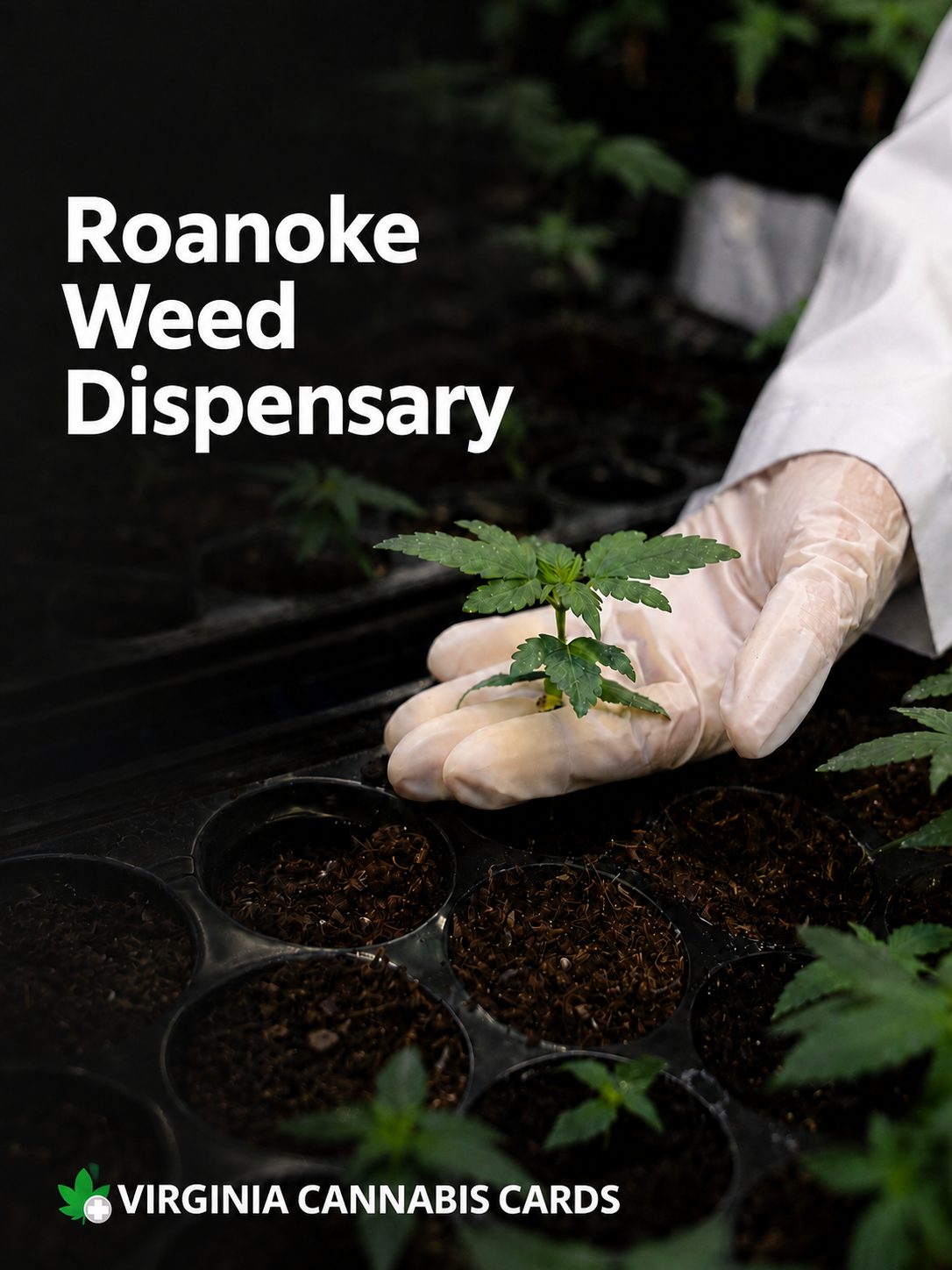 Roanoke Weed Dispensary